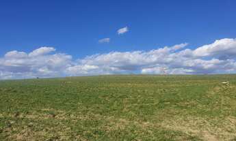 Imagem 2: EXCELENTE FAZENDA A VENDA EM BOTUCATU-SP ?? Área Total 102 Alqueires 80% de Aproveitame