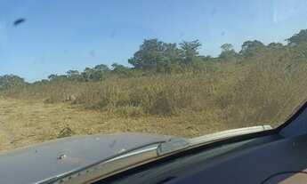 Imagem 6: Fazenda município Cocalinho 1156 alqueires! Fazenda pra pecuária 37 km ponte de Itacaiu Ac