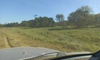 Imagem 2: Fazenda município Cocalinho 1156 alqueires! Fazenda pra pecuária 37 km ponte de Itacaiu Ac
