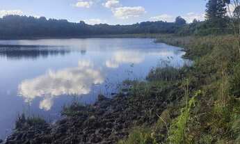 Imagem 6: EXCELENTE FAZENDA A VENDA EM BOTUCATU-SP ?? Área Total 102 Alqueires 80% de Aproveitame
