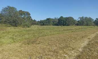 Imagem: Fazenda município Cocalinho 1156 alqueires!