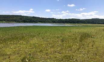 Imagem: Fazenda Área Total 62 Alqueires Área em