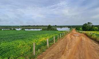 Imagem 7: Fazenda 17125 Hectares 11.500 Hectares de área aberta - 2.800 Hectares em lavoura - 8.050