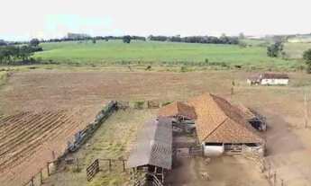 Imagem: Fazenda Área Total 88,75 Alqueires Área