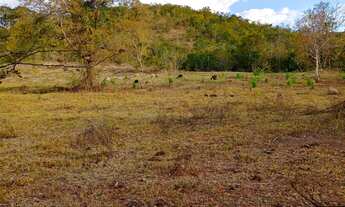 Imagem 3: Fazenda 260 alqueires goiano; *40 divisões de pasto e piquete; *02 sedes com currais; *02