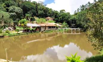 Imagem: Sítio 30 Alqueires sendo 20 de pinus,2.5