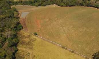 Imagem 5: Fazenda 20 Alqueires Pavilhão com 28 cocheiras Pista e Rodoanel cobertos 4 baias maiores