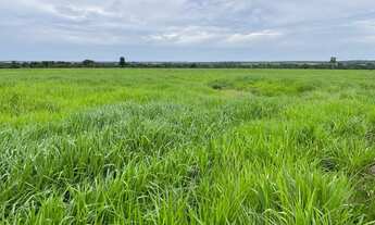 Imagem 3: Fazenda 17125 Hectares 11.500 Hectares de área aberta - 2.800 Hectares em lavoura - 8.050