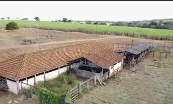 Imagem 4: Fazenda Área Total 88,75 Alqueires Área em Cana 55,6 Alqueires 14 Alqueires a 50 Toneladas