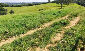 Imagem 5: Fazenda 102 Alquerires, Casa Sede Simples 2 Dorms, Boa Localização, Cruzilia MG Valor 10 M
