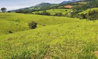 Imagem 6: Fazenda 102 Alquerires, Casa Sede Simples 2 Dorms, Boa Localização, Cruzilia MG Valor 10 M