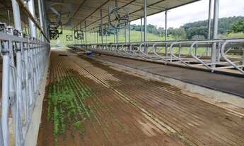 Imagem 5: Fazenda 51 Alqueires - Estruturado para leiteria com capacidade para produzir 5 mil litros