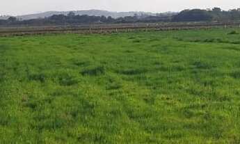 Imagem 3: Fazenda 71 Alqueires 20 kms de Pouso Alegre, 1 Km da Fernão Dias, Pagamento Parcelado