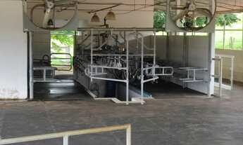 Imagem 4: Fazenda 51 Alqueires - Estruturado para leiteria com capacidade para produzir 5 mil litros