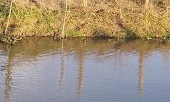 Imagem 2: Fazenda 71 Alqueires 20 kms de Pouso Alegre, 1 Km da Fernão Dias, Pagamento Parcelado