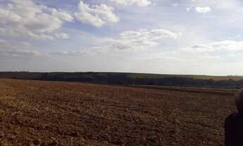 Imagem 7: Fazenda 81,5 Alqueires, 56 Alqueires em Cana, Usina Grupo Zambianco 40 Toneladas 10 Alquei