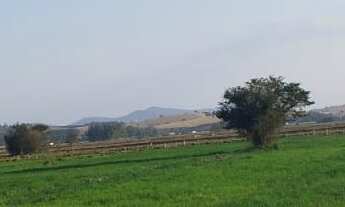 Imagem: Fazenda 71 Alqueires 20 kms de Pouso Alegre