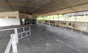 Imagem 2: Fazenda 51 Alqueires - Estruturado para leiteria com capacidade para produzir 5 mil litros