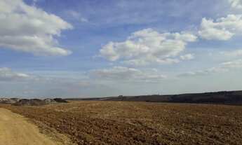 Imagem 6: Fazenda 81,5 Alqueires, 56 Alqueires em Cana, Usina Grupo Zambianco 40 Toneladas 10 Alquei
