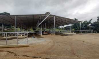 Imagem 3: Fazenda 51 Alqueires - Estruturado para leiteria com capacidade para produzir 5 mil litros