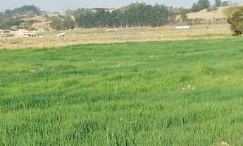 Imagem 7: Fazenda 71 Alqueires 20 kms de Pouso Alegre, 1 Km da Fernão Dias, Pagamento Parcelado