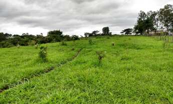 Imagem: Sítio 5 Alqueires, Rica em Água com Córrego