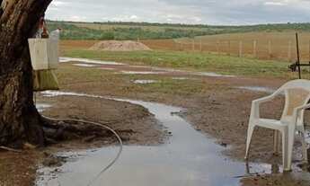 Imagem 6: Fazenda 561 Hectares, 450 Hectares Para Plantio, Ótima Localização, Ótima Topografia, Benf