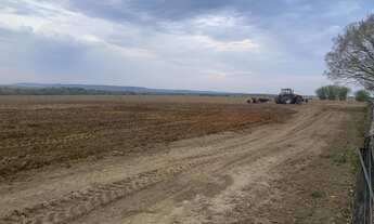 Imagem 7: Fazenda 561 Hectares, 450 Hectares Para Plantio, Ótima Localização, Ótima Topografia, Benf