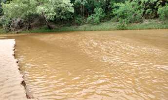Imagem 3: Sítio 5 Alqueires, Rica em Água com Córrego e Nascente, Sem Benfeitorias, Ótima Localizaçã