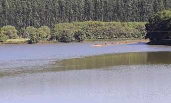 Imagem: Fazenda 194 Alqueires, 135 Alqueires em