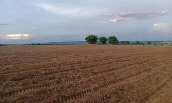 Imagem: Fazenda 561 Hectares, 450 Hectares Para