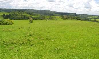 Imagem: Fazenda 162 Alqueires, Formada em Pasto
