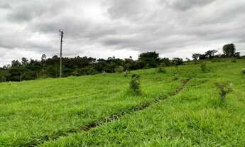 Imagem 5: Sítio 5 Alqueires, Rica em Água com Córrego e Nascente, Sem Benfeitorias, Ótima Localizaçã