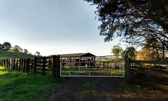 Imagem 3: Fazenda Ortigueira 150 Alqueires, 90 pasto,10 Soja,1 Sede,1 Casa Caseiro,1 Mangueira gado