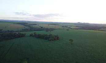 Imagem 3: Fazenda 161 Alqueires, 12 Kms de Estrada de Chão, 105 Alqueires Plantado e Falta 35 Alquei