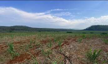 Imagem 4: FAZENDA COM CANA A VENDA NA REGIÃO DE SÃO CARLOS-SP ?? Área Total 67 Alqueires 53 Alqu