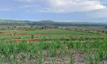 Imagem 3: FAZENDA COM CANA A VENDA NA REGIÃO DE SÃO CARLOS-SP ?? Área Total 67 Alqueires 53 Alqu