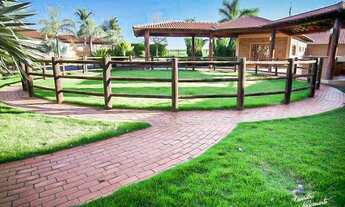 Imagem: Fazenda 450 Alqueires Alto Padrão, Ótima