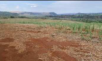 Imagem 5: FAZENDA COM CANA A VENDA NA REGIÃO DE SÃO CARLOS-SP ?? Área Total 67 Alqueires 53 Alqu