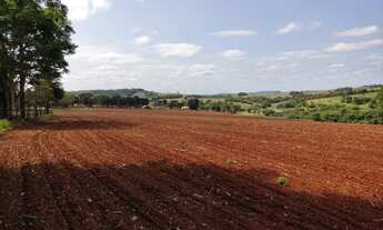Imagem 7: Fazenda 69 Alqueires, lavoura 30 Alqueires, Restante Reserva, App e uma Pequena Parte em P