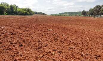 Imagem 3: Fazenda 69 Alqueires, lavoura 30 Alqueires, Restante Reserva, App e uma Pequena Parte em P