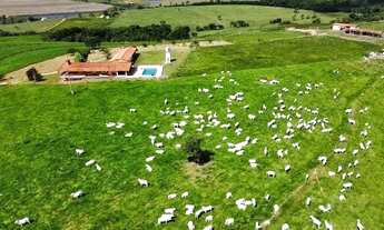 Imagem: Fazenda 70 Alqueires, Formada em Pasto