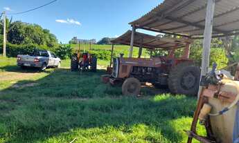 Imagem 3: Fazenda 30 alqueires, atualmente com gado leiteiro com a produção de 350 litros/dia, cheg