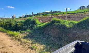 Imagem 7: Fazenda 30 alqueires, atualmente com gado leiteiro com a produção de 350 litros/dia, cheg