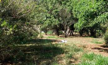 Imagem 3: Chácara 1600m2 Casa 90m2 2 Dorms, Sala, Cozinha, Banheiro, Copa, Garagem Coberta, Fogão a