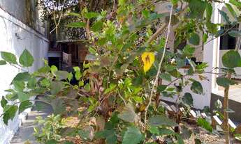 Imagem 2: Casa Térrea 106m2 2 DormsSala ? Cozinha ? Área de serviço ? WC social ? Cômodos amplos ? V