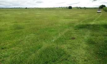 Imagem: Fazenda 250 Alqueires Área para Plantio