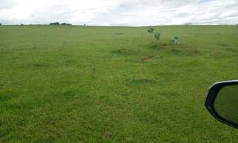 Imagem 3: Fazenda 250 Alqueires Área para Plantio de aproximadamente 240 Alqueires Excelente Aprov