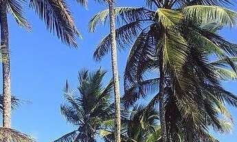 Imagem 3: Apartamentos em Ilhéus - Praia da Pérola - Segurança e tranquilidade para você e sua famíl