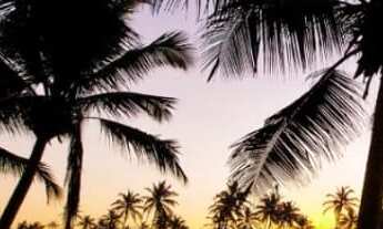 Imagem 4: Apartamento 2 suítes em Imbassaí. Lançamento com total infraestrutura